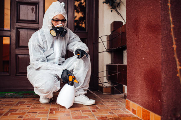 Reliable Rodent Control contractor in Ocklawaha, FL by Nex Pest Control