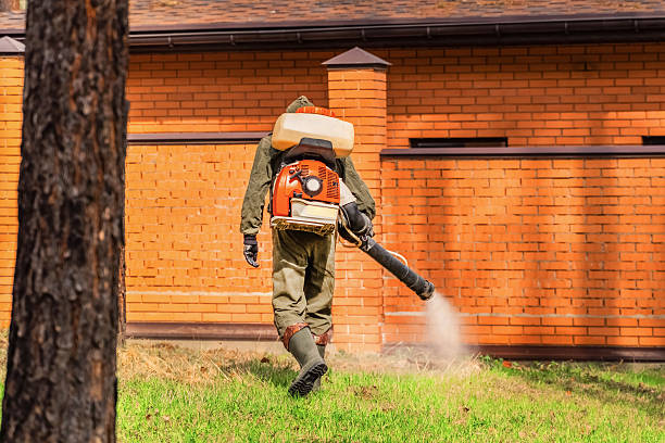 Trusted Cockroach Control service in Ocklawaha, FL - Nex Pest Control